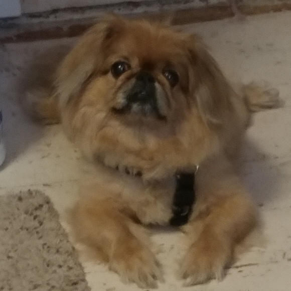 Meet your Posher, Melissa - Picture 10 of 11